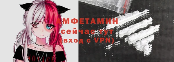 мдпв Михайлов