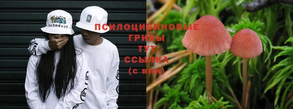 мдпв Михайлов