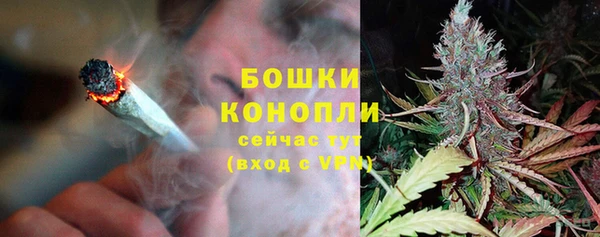 шишки Анжеро-Судженск