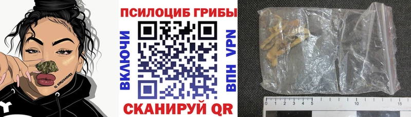 цена   даркнет официальный сайт  Галлюциногенные грибы мицелий  Благодарный 