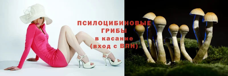 Галлюциногенные грибы Psilocybe  Благодарный 