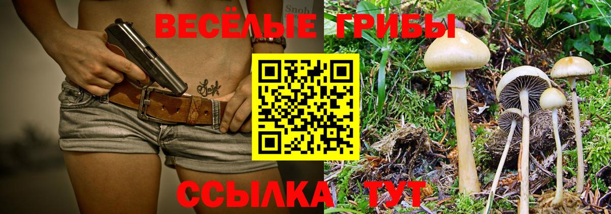 Благодарный  Галлюциногенные грибы мицелий  купить   Вход с VPN 