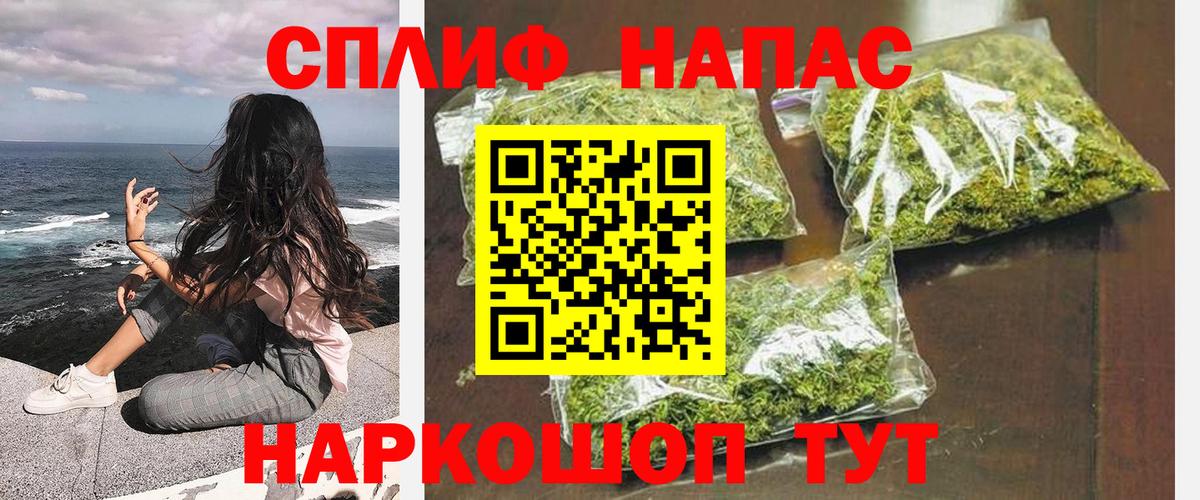 Конопля OG Kush Благодарный